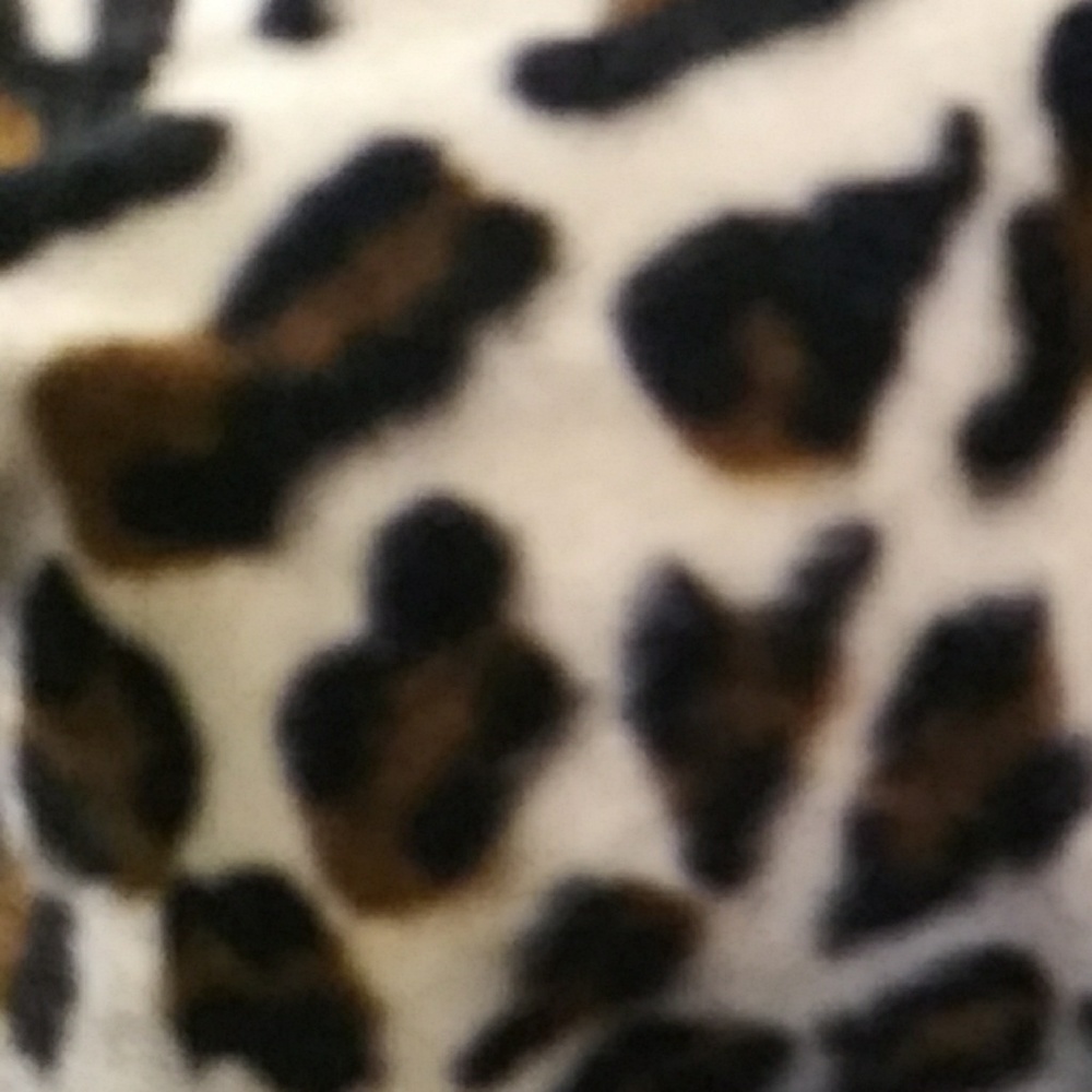 SOLD 100% nwot Zip-up grey and leopard jacket - Picture 6 of 7